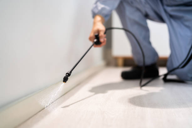 Professional exterminator conducting IPM assessment in Stamps