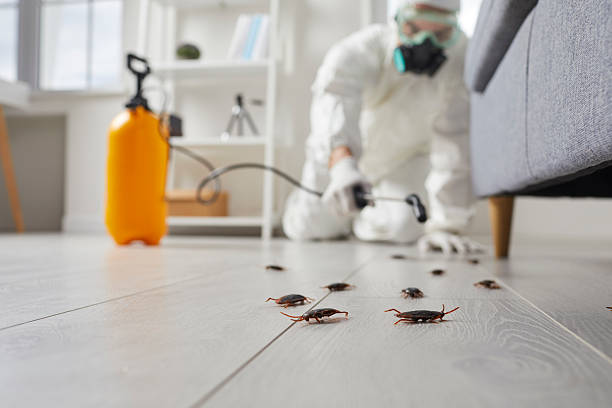 Commercial Kitchen Cockroach Control in Stamps